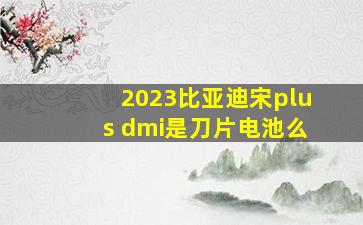 2023比亚迪宋plus dmi是刀片电池么